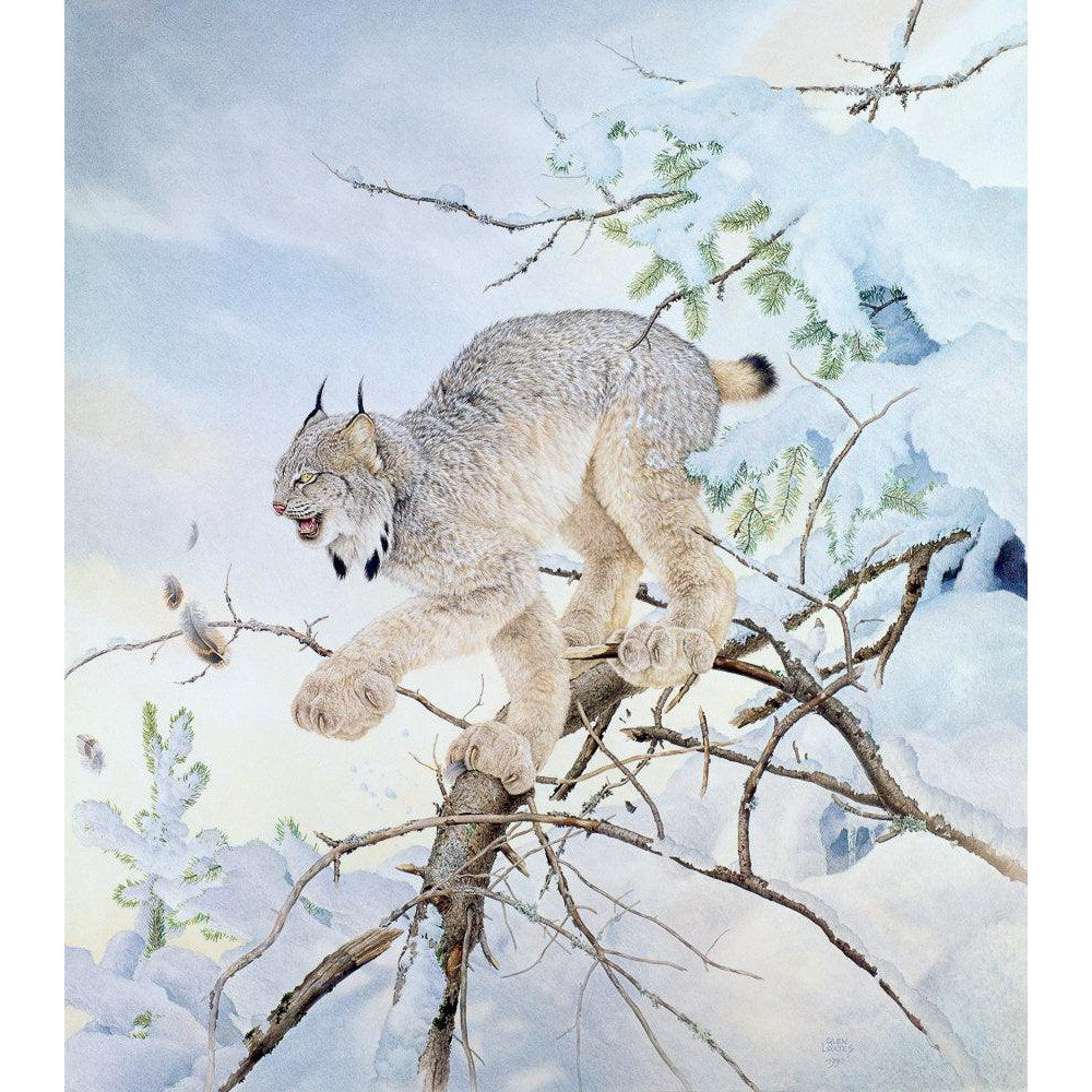 Close Call - Framed Print | Artwork by Glen Loates