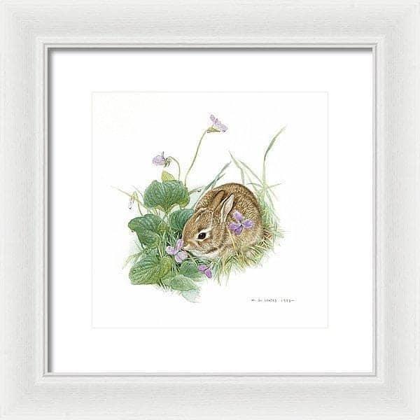 Cottontail Bunny with Violet - Framed Print | Artwork by Glen Loates