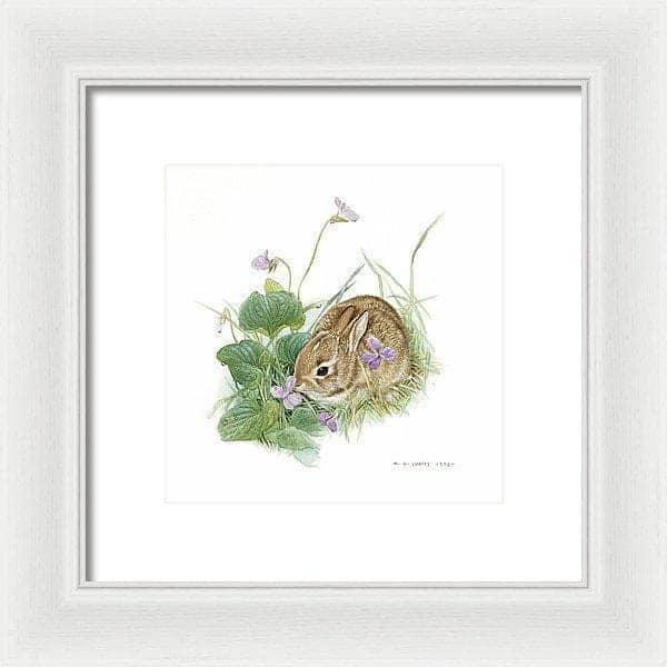 Cottontail Bunny with Violet - Framed Print | Artwork by Glen Loates