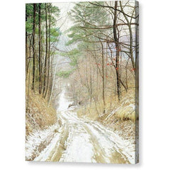 Gallery Canvas