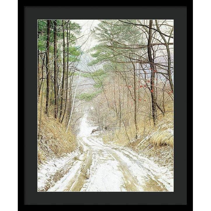 Cottontail Run - Framed Print | Artwork by Glen Loates