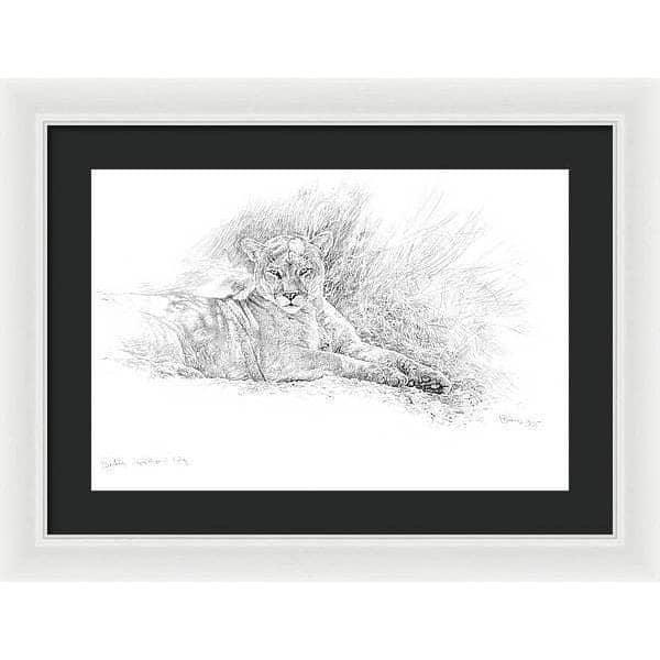 Cougar Basking - Framed Print | Artwork by Glen Loates