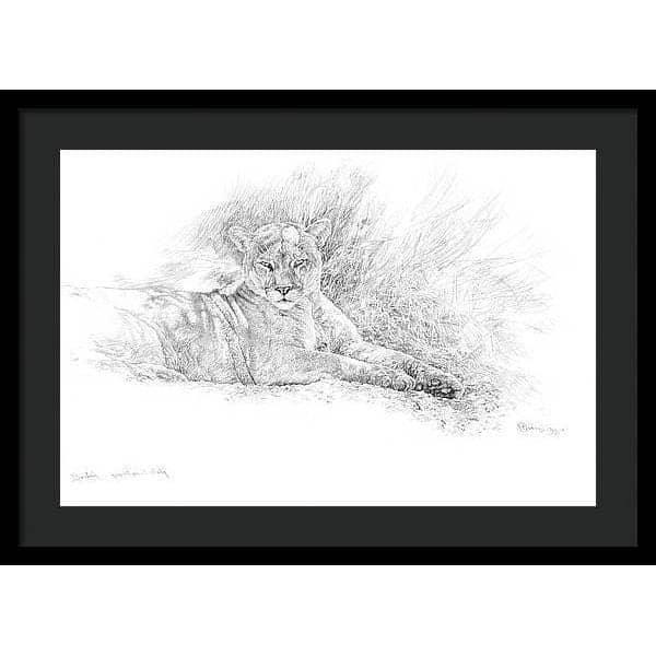 Cougar Basking - Framed Print | Artwork by Glen Loates