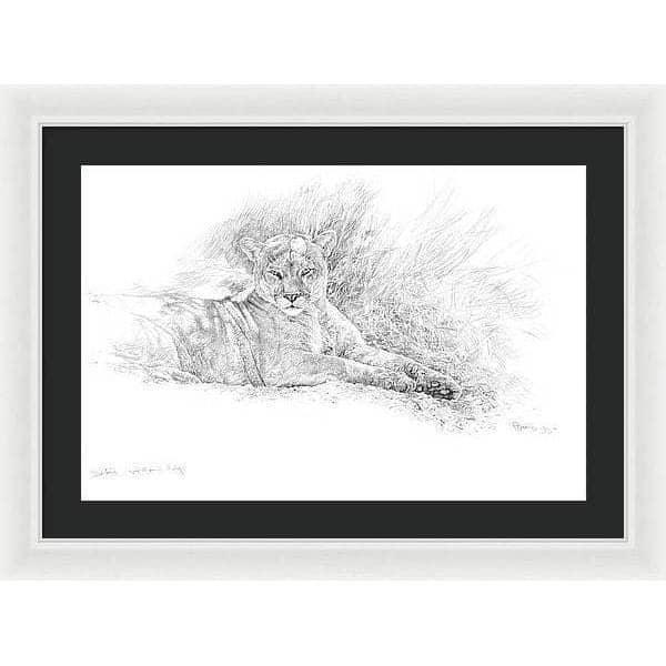 Cougar Basking - Framed Print | Artwork by Glen Loates