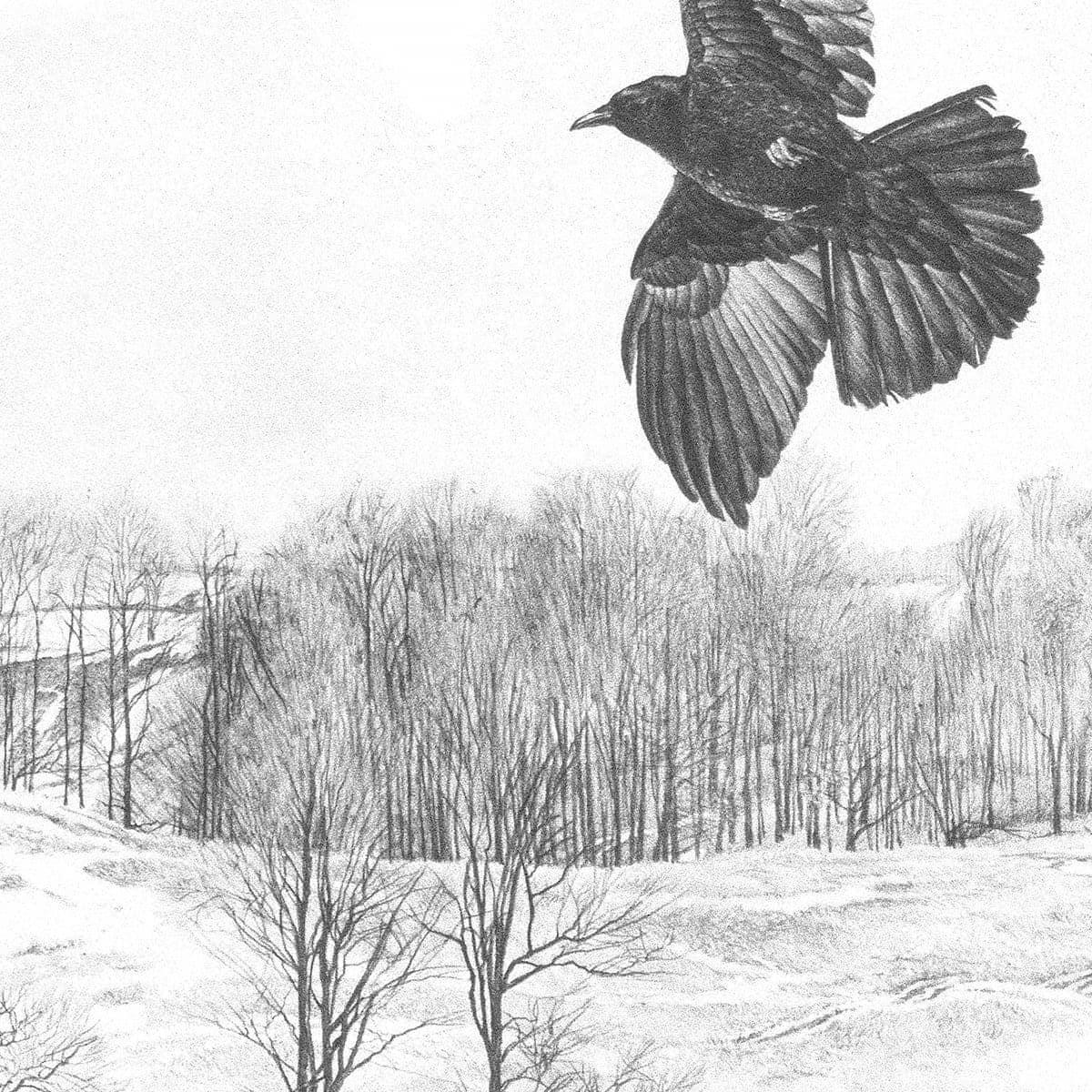 Crow Flying Over Landscape - Framed Print | Artwork by Glen Loates