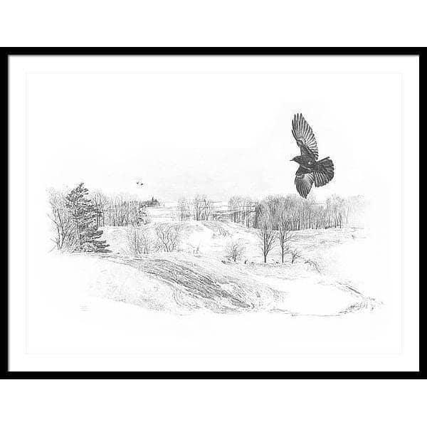 Crow Flying Over Landscape - Framed Print | Artwork by Glen Loates