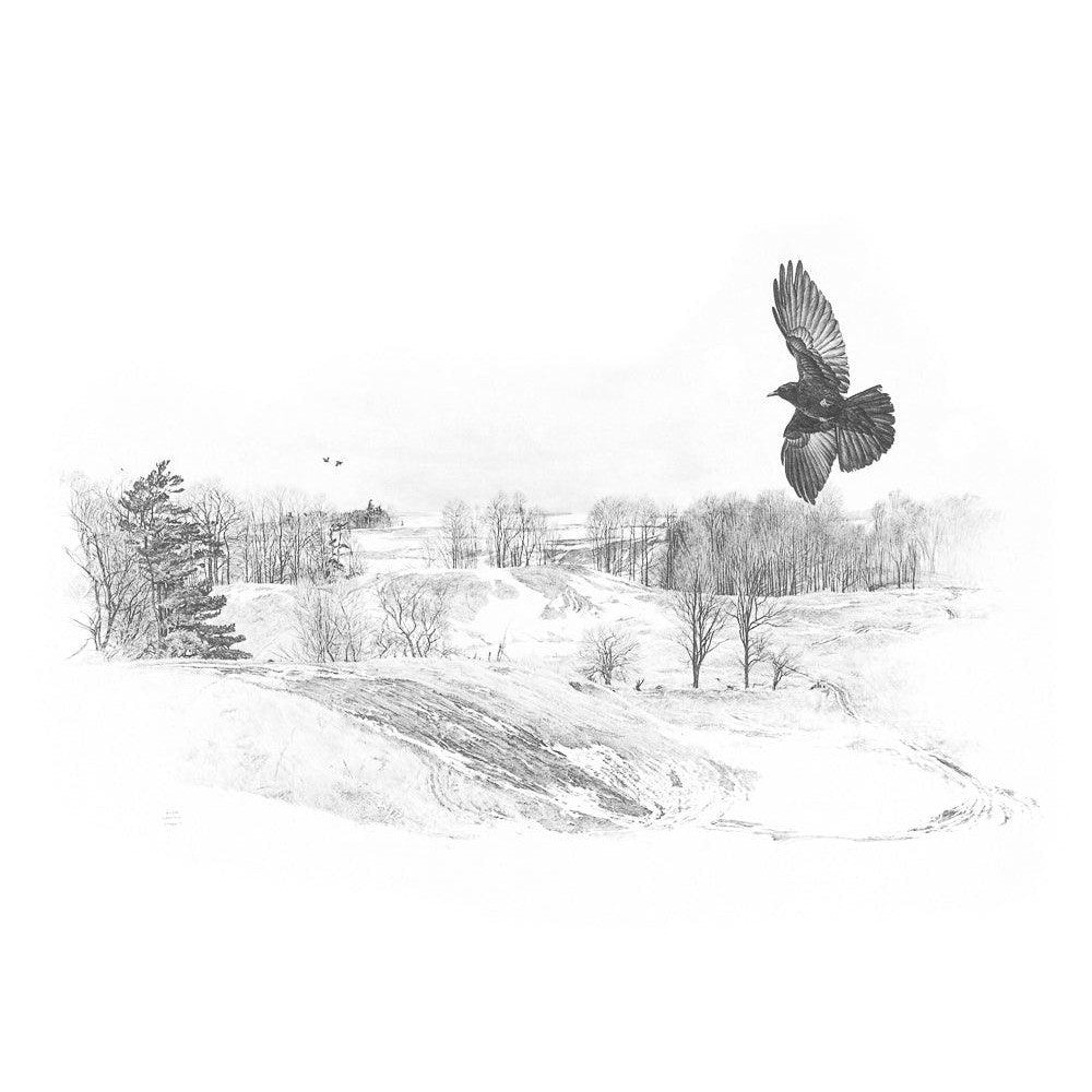 Crow Flying Over Landscape - Framed Print | Artwork by Glen Loates