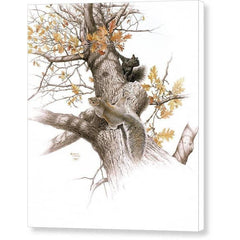 Gallery Canvas