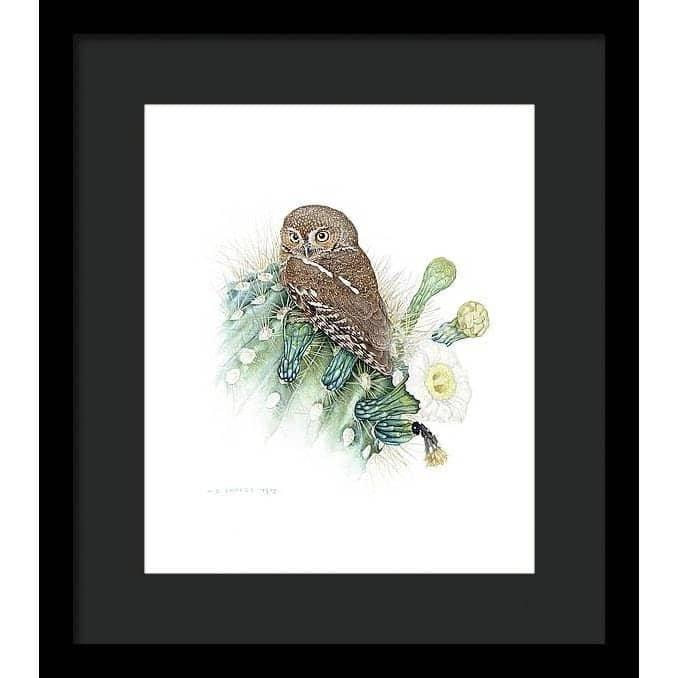 Elf Owl - Framed Print | Artwork by Glen Loates