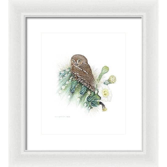 Elf Owl - Framed Print | Artwork by Glen Loates