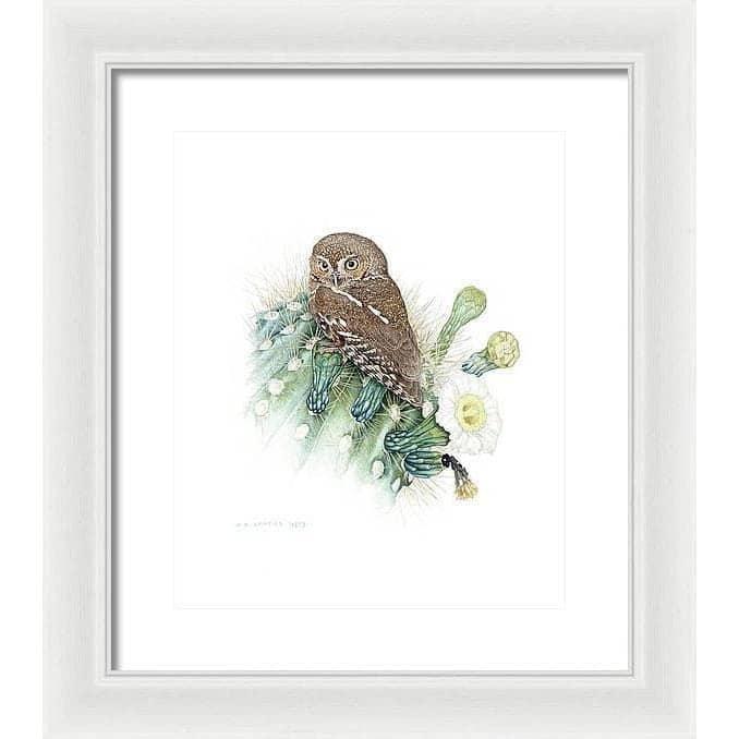 Elf Owl - Framed Print | Artwork by Glen Loates