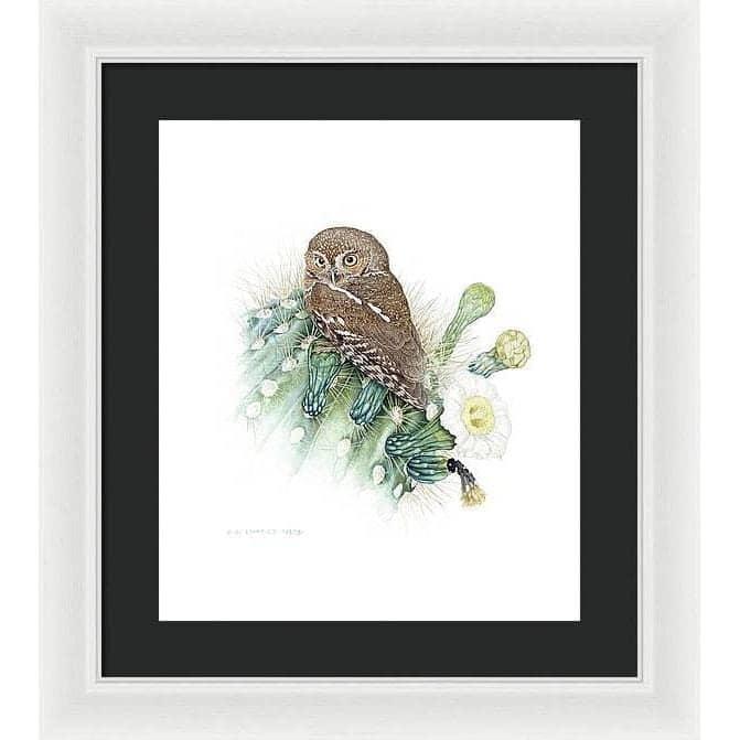 Elf Owl - Framed Print | Artwork by Glen Loates