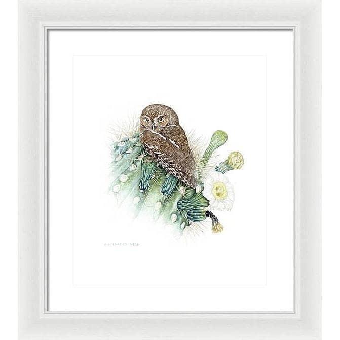 Elf Owl - Framed Print | Artwork by Glen Loates