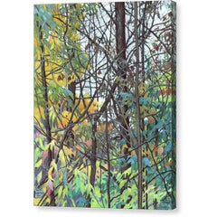Gallery Canvas