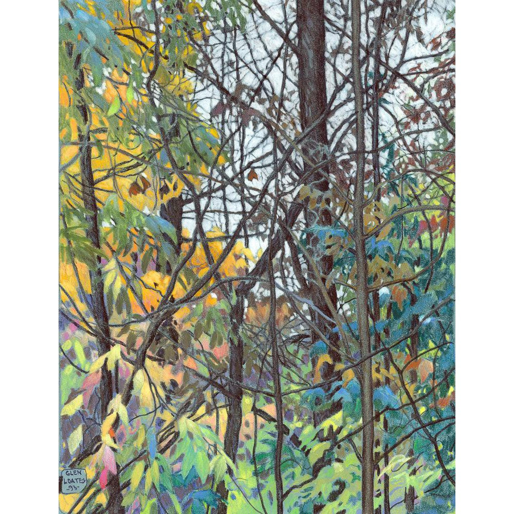 Fall Tapestry - Framed Print | Artwork by Glen Loates