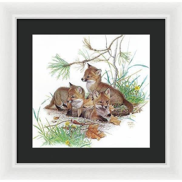 Fox Kits - Framed Print | Artwork by Glen Loates