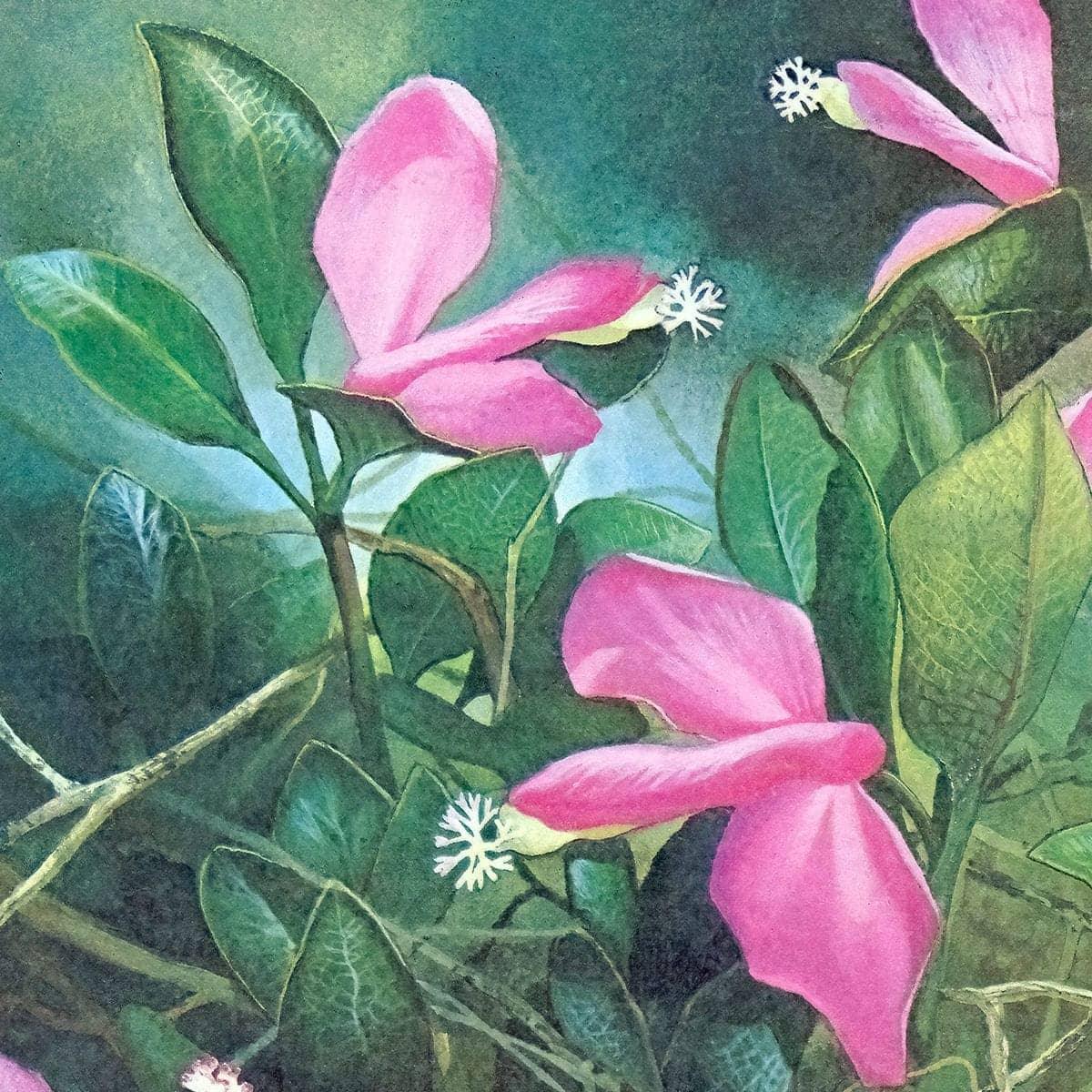 Fringed Polygala - Canvas Print | Artwork by Glen Loates