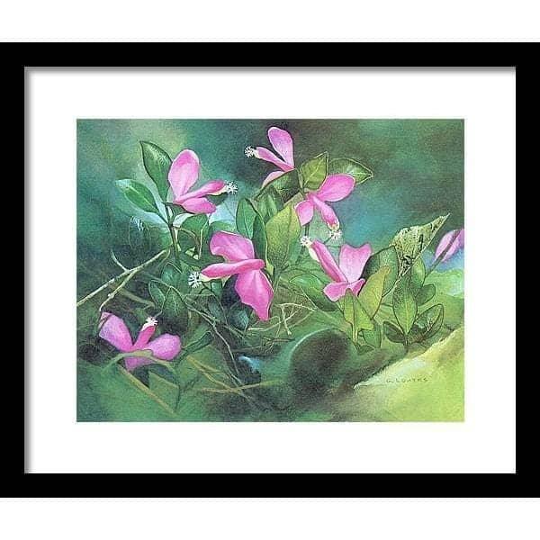 Fringed Polygala - Framed Print | Artwork by Glen Loates