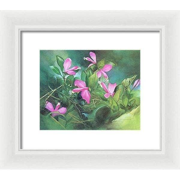 Fringed Polygala - Framed Print | Artwork by Glen Loates