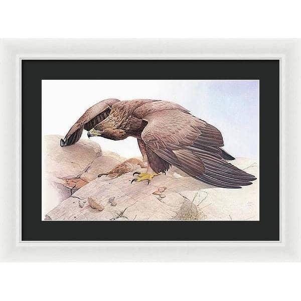 Golden Eagle - Framed Print | Artwork by Glen Loates
