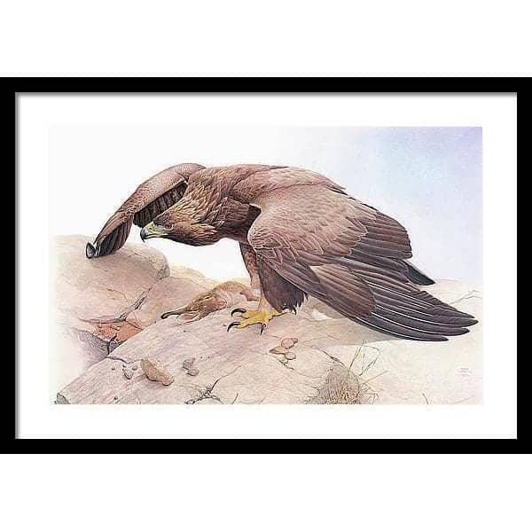 Golden Eagle - Framed Print | Artwork by Glen Loates