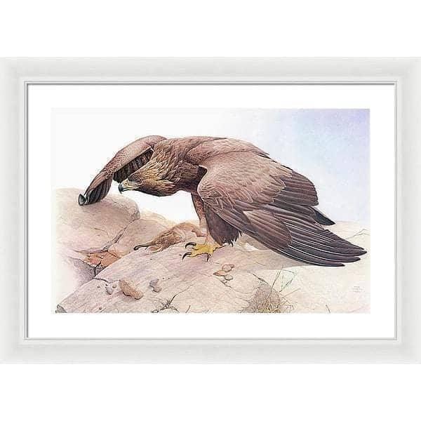 Golden Eagle - Framed Print | Artwork by Glen Loates