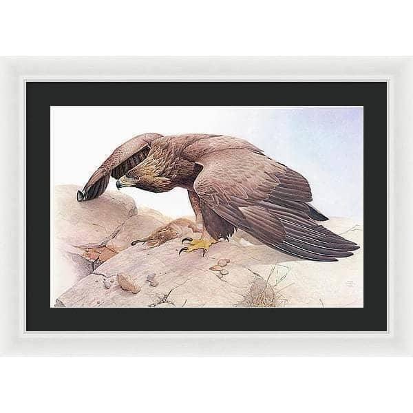 Golden Eagle - Framed Print | Artwork by Glen Loates