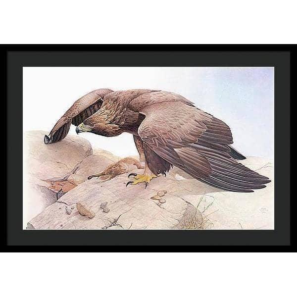 Golden Eagle - Framed Print | Artwork by Glen Loates