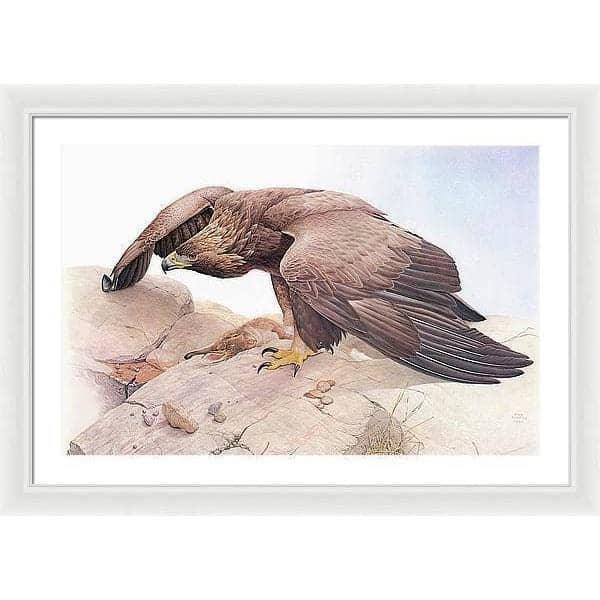 Golden Eagle - Framed Print | Artwork by Glen Loates