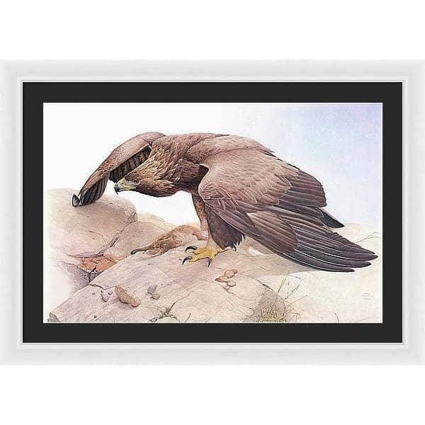 Golden Eagle - Framed Print | Artwork by Glen Loates