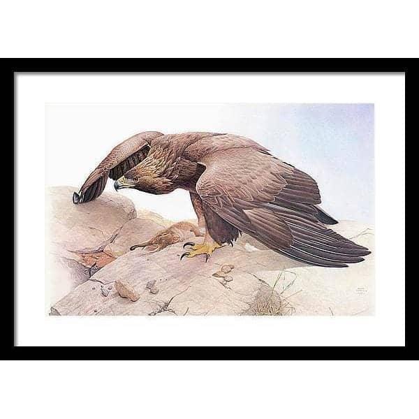 Golden Eagle - Framed Print | Artwork by Glen Loates