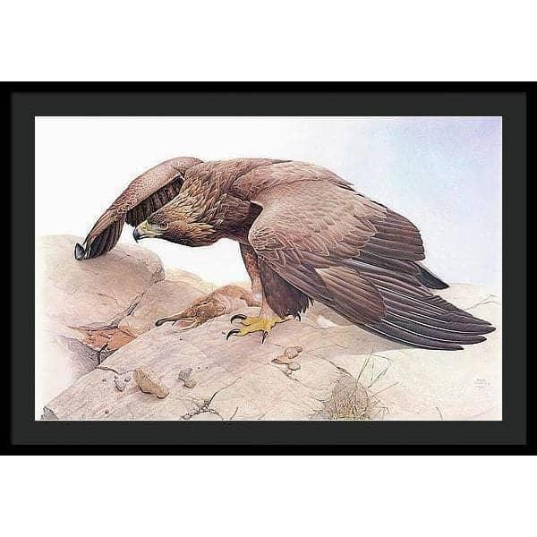 Golden Eagle - Framed Print | Artwork by Glen Loates