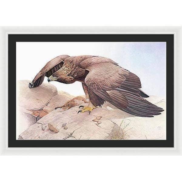 Golden Eagle - Framed Print | Artwork by Glen Loates