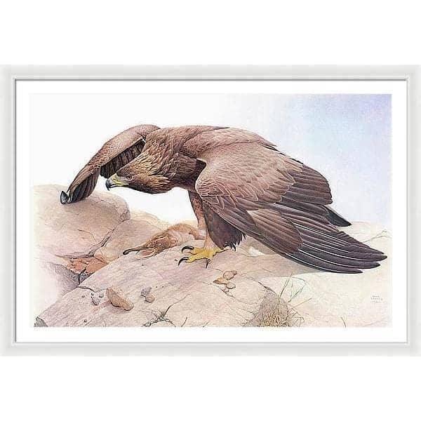 Golden Eagle - Framed Print | Artwork by Glen Loates