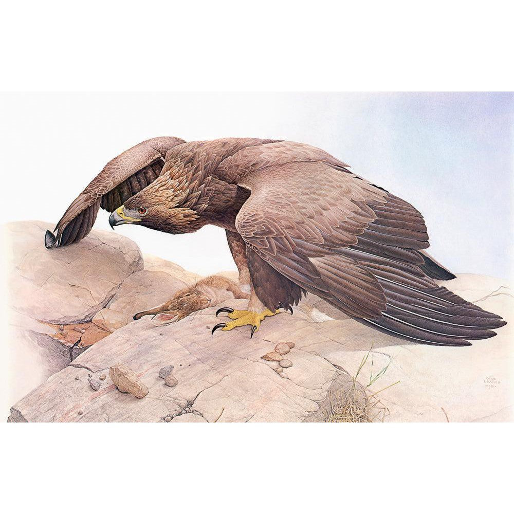 Golden Eagle - Framed Print | Artwork by Glen Loates
