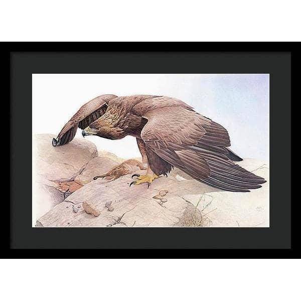 Golden Eagle - Framed Print | Artwork by Glen Loates