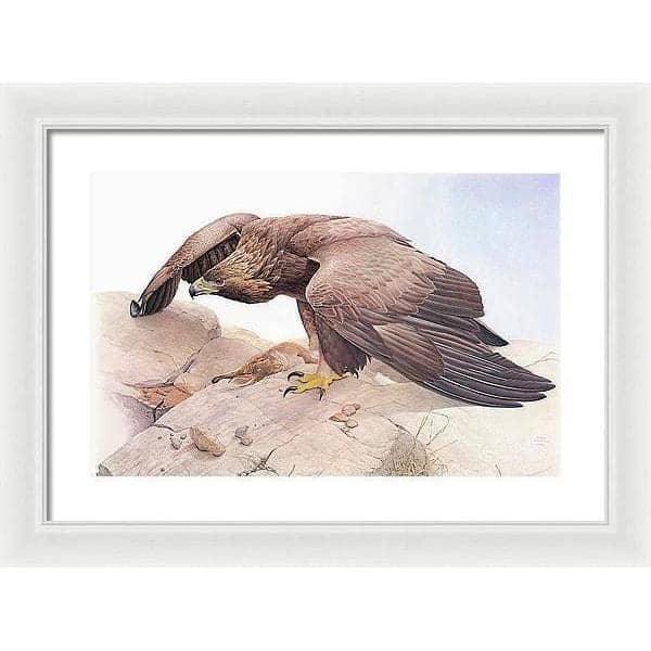 Golden Eagle - Framed Print | Artwork by Glen Loates