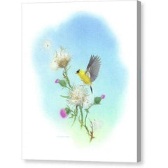 Gallery Canvas