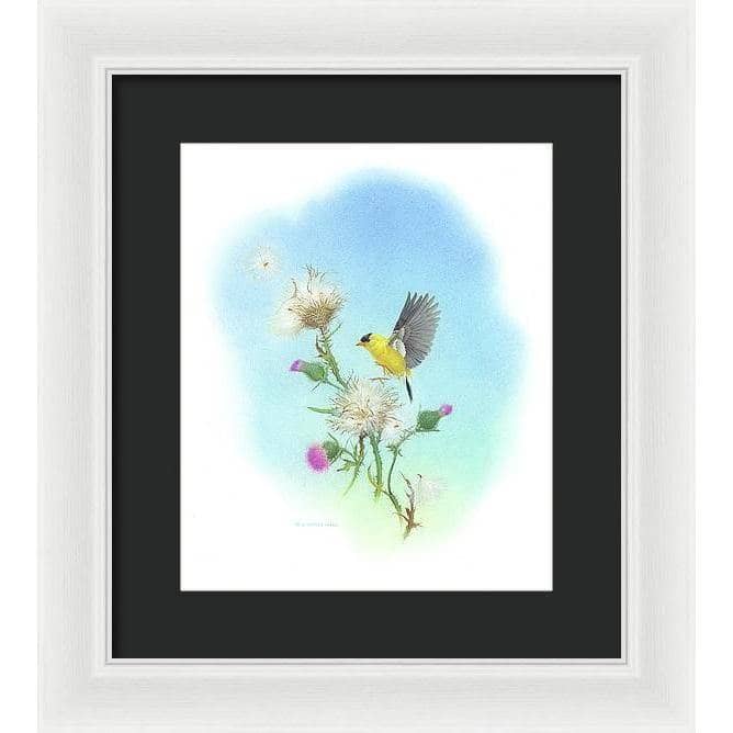 Goldfinch - Framed Print | Artwork by Glen Loates