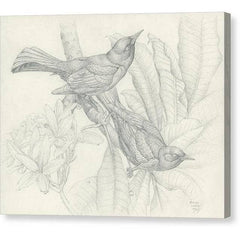 Toile Galerie
