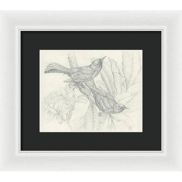 Grackles - Framed Print | Artwork by Glen Loates