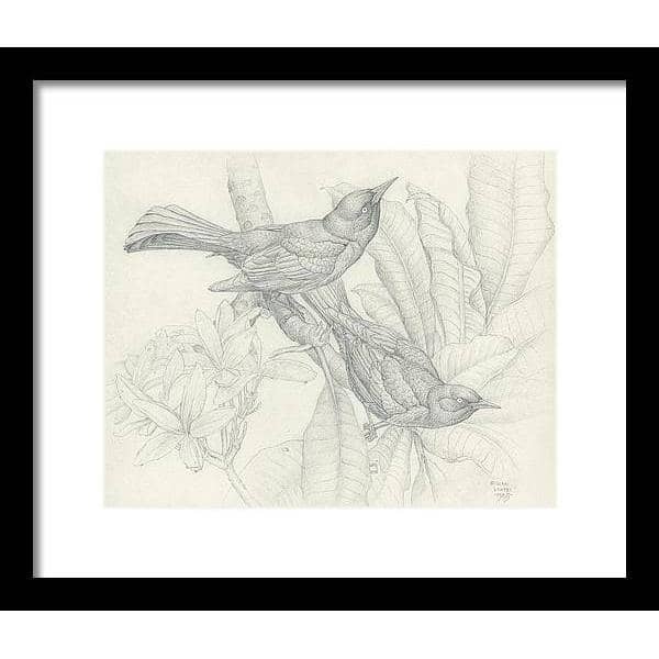 Grackles - Framed Print | Artwork by Glen Loates