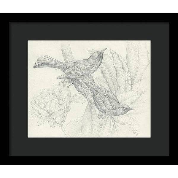 Grackles - Framed Print | Artwork by Glen Loates