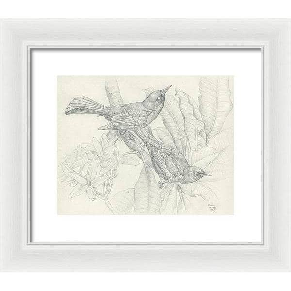 Grackles - Framed Print | Artwork by Glen Loates
