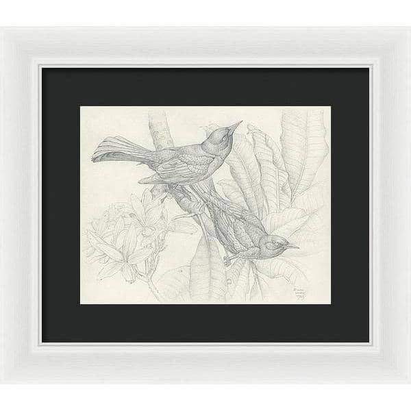 Grackles - Framed Print | Artwork by Glen Loates