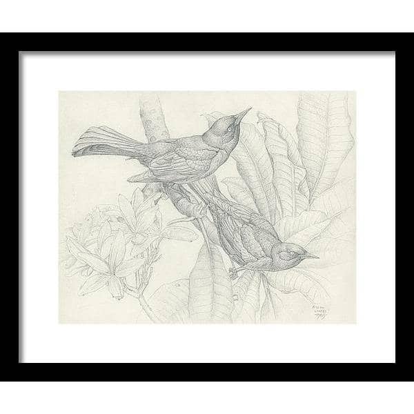Grackles - Framed Print | Artwork by Glen Loates