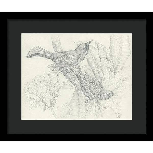 Grackles - Framed Print | Artwork by Glen Loates