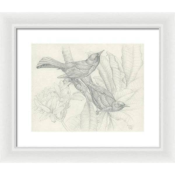 Grackles - Framed Print | Artwork by Glen Loates