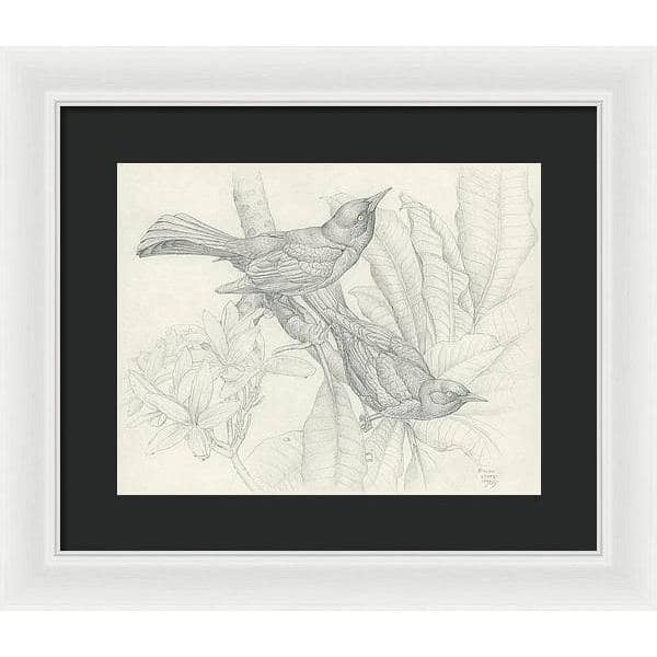 Grackles - Framed Print | Artwork by Glen Loates