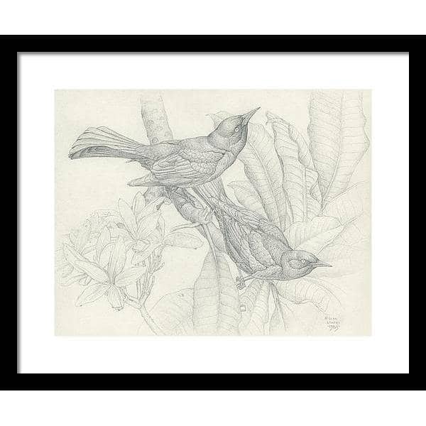 Grackles - Framed Print | Artwork by Glen Loates